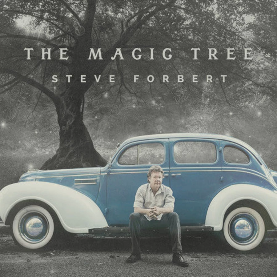 Steve Forbert - The Magic Tree CD by MeTV Entertainment | Folk Rock Music Album
