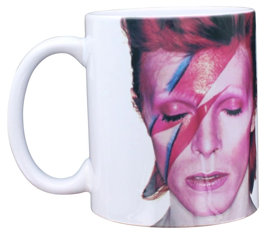 Toynk David Bowie Aladdin Sane 11Oz Ceramic Mug Collectible Boxed Coffee Cup
