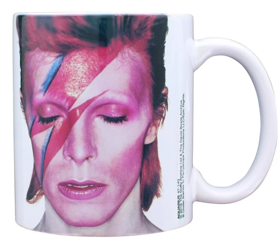 Toynk David Bowie Aladdin Sane 11Oz Ceramic Mug Collectible Boxed Coffee Cup