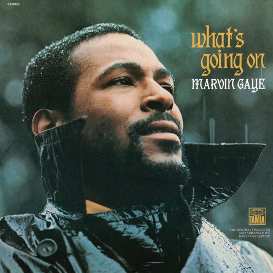 "Marvin Gaye - What's Going On Vinyl Record by MeTV Entertainment"