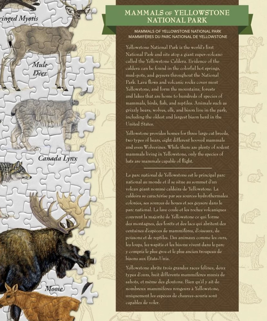 "Toynk 1000-Piece Yellowstone National Park Mammals Linen Jigsaw Puzzle for Adults"