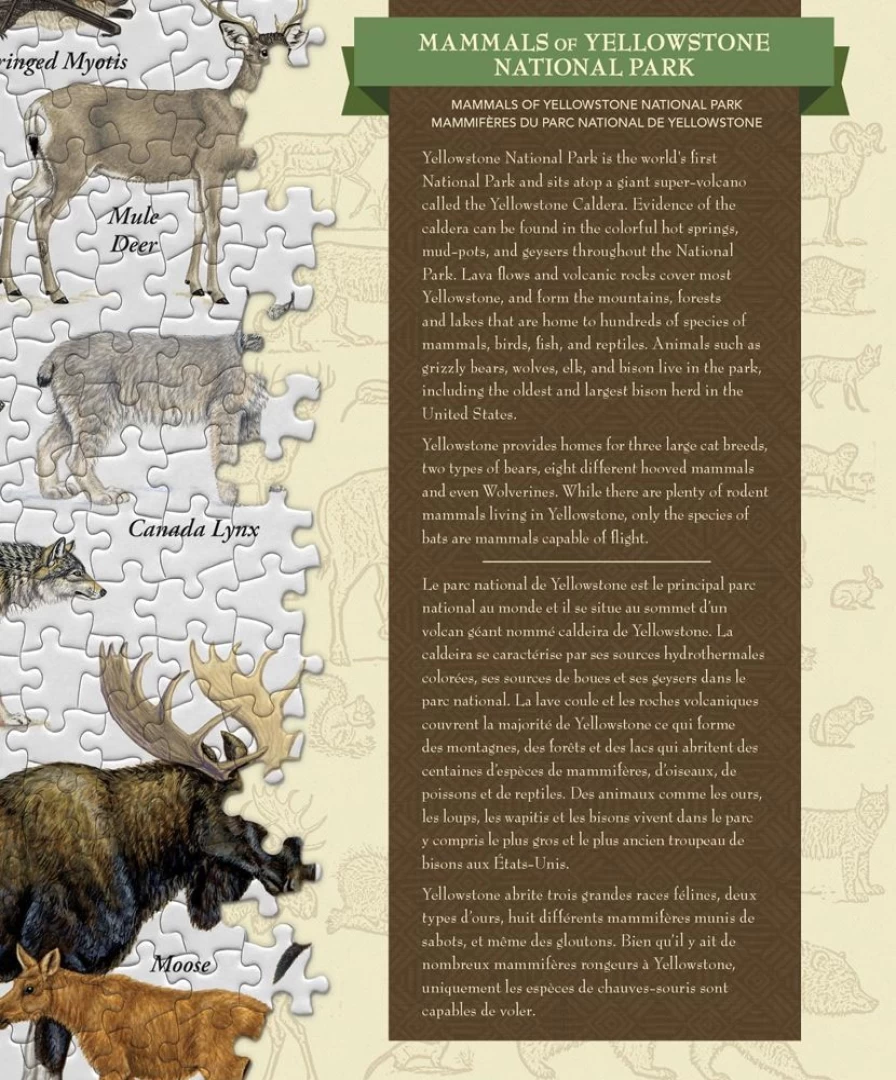"Toynk 1000-Piece Yellowstone National Park Mammals Linen Jigsaw Puzzle for Adults"
