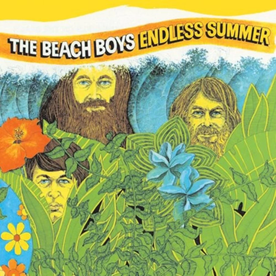 The Beach Boys - Endless Summer LP Vinyl Record by MeTV Entertainment